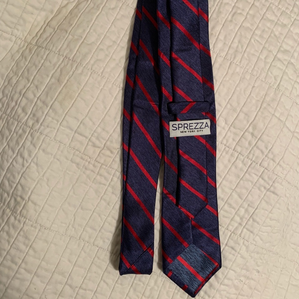 Sprezza Navy and Red Diagonal Striped Neck Tie